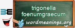 WordMeaning blackboard for trigonella foenumgraecum